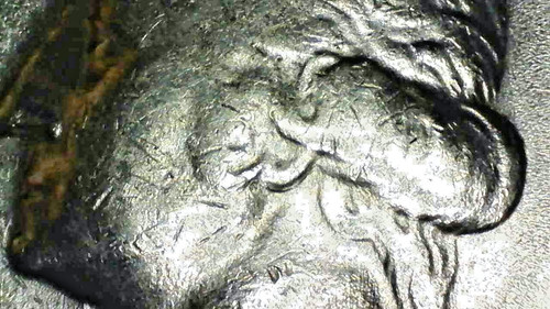 Rara varietà doppio orecchio