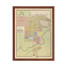 Vecchia mappa di Hastings, MN