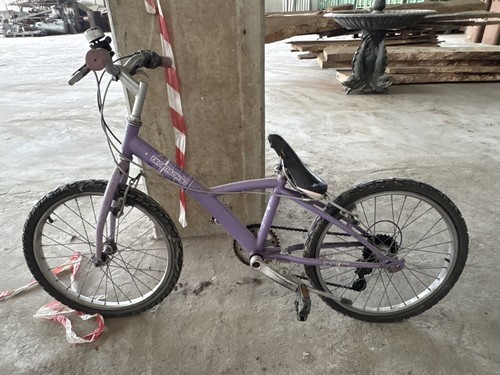 Bici usata per