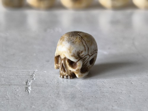 Memento mori vanitas skull - memento,