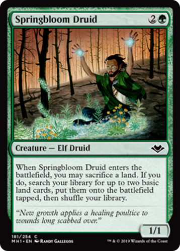 Springbloom druid modern - druid,