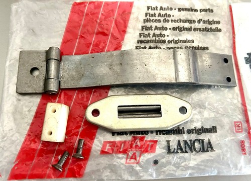 Leoncino orsetto - /,