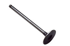 Valvola scarico Renault Clio / Kangoo / Twingo 1.2 8V