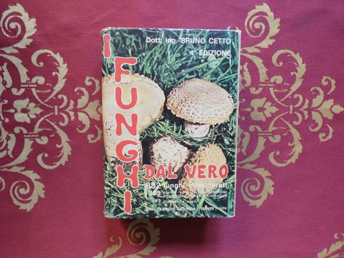 Cetto bruno funghi dal - dal, vero
