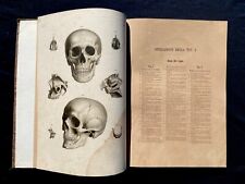 C.E. Bock - Atlante di Anatomia dell'Uomo - Napoli Margheri 1876 - Medicina