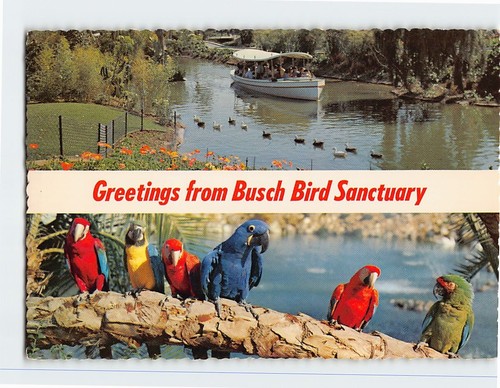 Cartolina busch bird - cartolina,