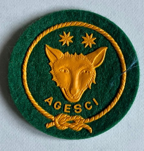 Scout agesci distintivo - scout,