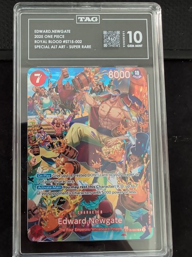 One piece edward - one, newgate