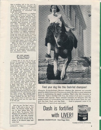 Pubblicità rivista 1954 - pubblicità,