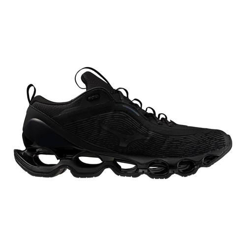 Mizuno wave prophecy - prophecy, 13.2