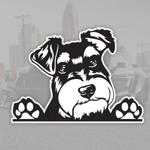 Adesivo auto schnauzer - adesivo, nano