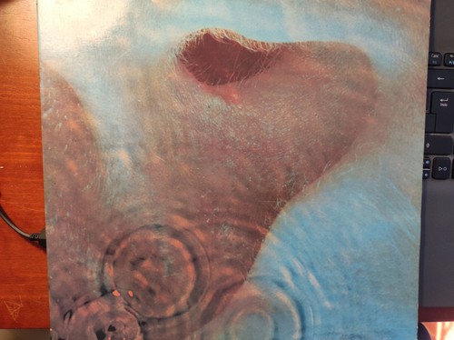 Pink floyd meddle - floyd,