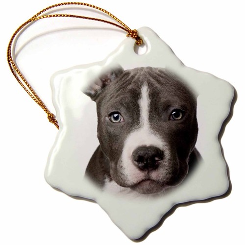 3drose american pit bull - american,