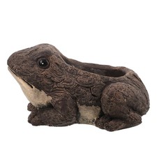  Vaso per piante grasse a