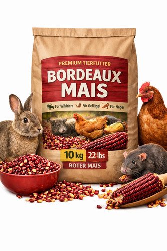 Mais rosso bordeaux - mais,