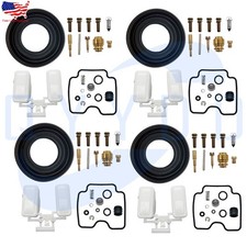 Carburetor Repair Kit Float