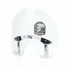 Schermo Triumph Thunderbird