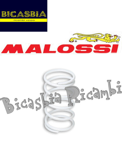 11537 molla malossi bianca - 11537,