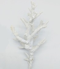 Ramo di Corallo Sia - Scegli