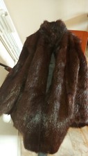 pelliccia castorino Spitz 