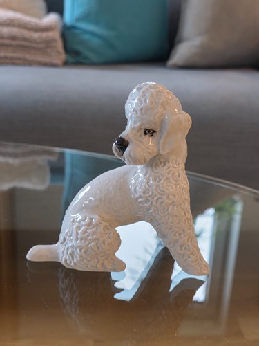 Rosenthal statuina statuina