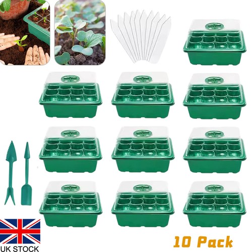 10pcs fori vassoi - fori,