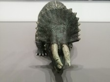 Dinosauro Triceratopo