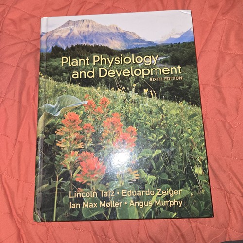 Plant physiology - plant,