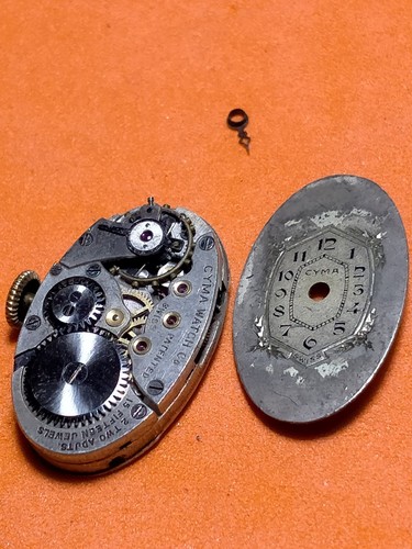 Genuine cyma watch movement - cyma,