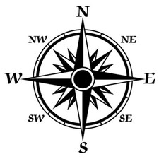 Adesivo vinile sticker auto