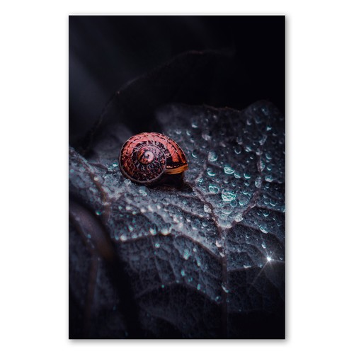 Postereck 2961 poster tela