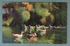 C.C.R.V.E. n. 9 SIRACUSA - LA FONTE D'ARETUSA illustrata SABATINO MIRABELLA