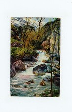 ILLUSTRATORE - COLLINO -