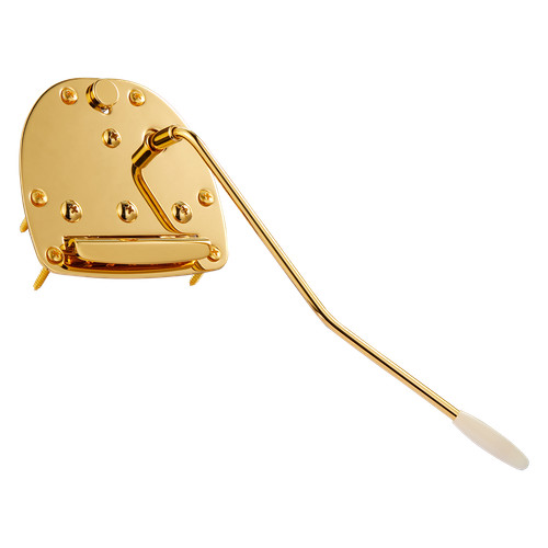 Gruppo tremolo chitarra
