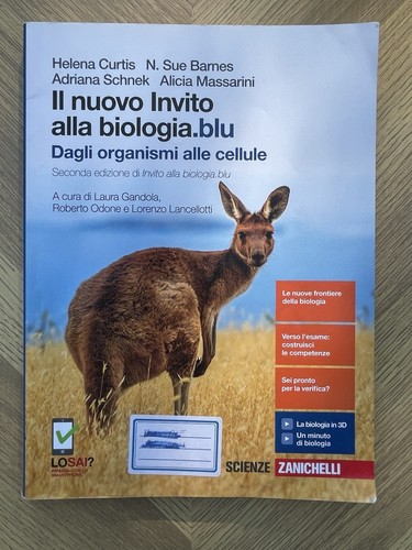 Nuovo invito alla - invito,