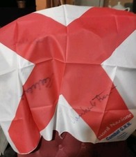 BANDIERA LEGA NORD NAZIONE