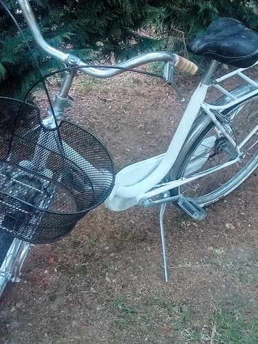 Bici pieghevoli misura - misura, 20