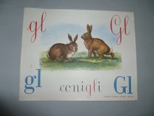 Abecedario a Parete VINTAGE SCUOLA Elementare lettera Gl conigli