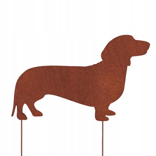 Bassotto cane figura - bassotto,