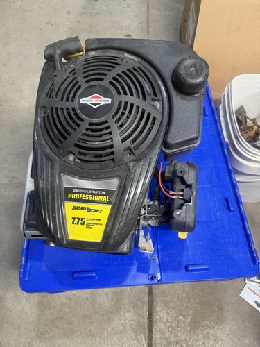 Briggs stratton professional - briggs, &
