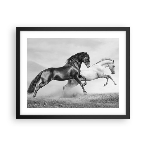 Poster 50x40cm cavalli - 50x40cm, animali