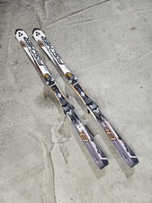 Adult Fischer Progressor 8+