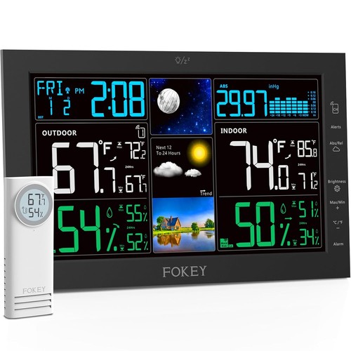 Fokey termometro wireless - termometro,