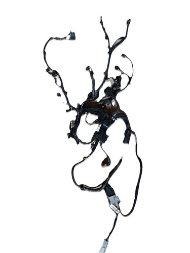 Camblaggio motore blu hdi - 1.5,
