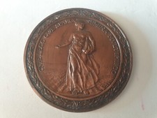 Medaglia Cassa di Risparmio di Torino Premio Semina BRONZO (MN26)