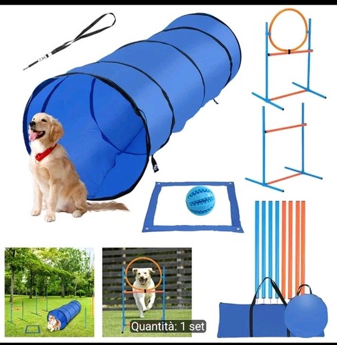 Set agility dog - agility,