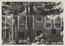 SILA - CAMIGLIATELLO m. 1300 - VILLA ISABELLA - SPEZZANO DELLA... (COSENZA) 1959