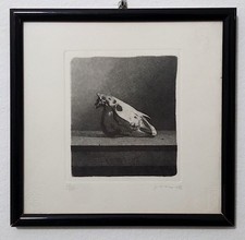 GIANFRANCO FERRONI, BUCRANIO