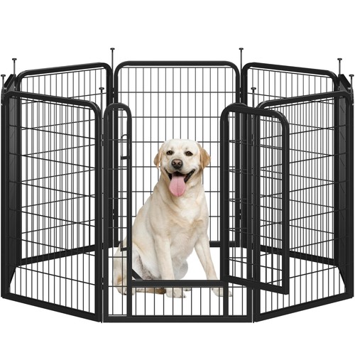 Recinto per cani interno ed - cani,