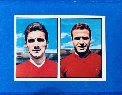 Figurina calciatori panini - calciatori,